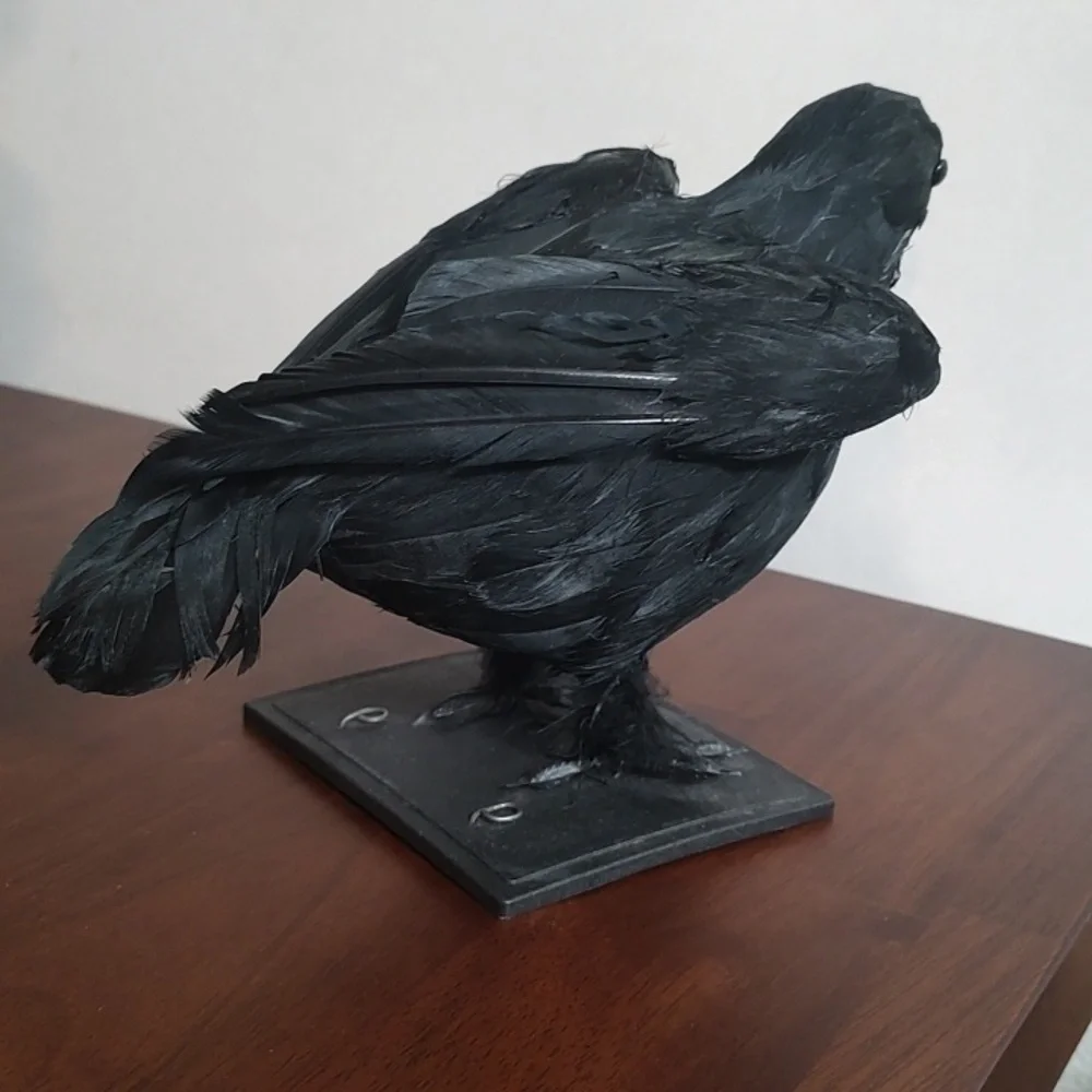 Black Raven Crow Sculpture Real Feathers Bird Halloween Decor Movie Set Prop - Picture 10 of 14